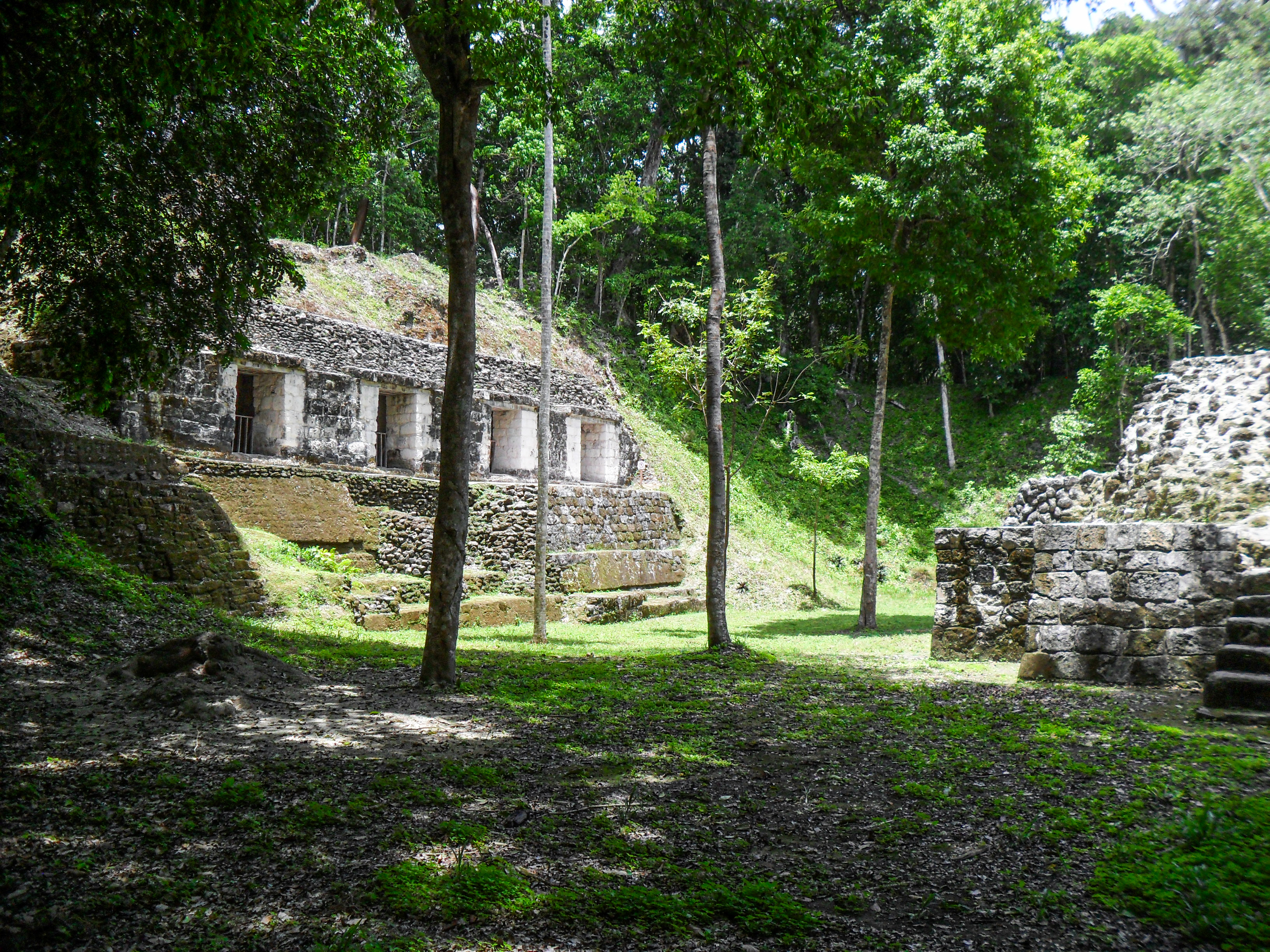 Tikal – random-ruins, nature, jungle